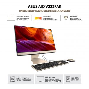 Asus PC AIO V222FAK
